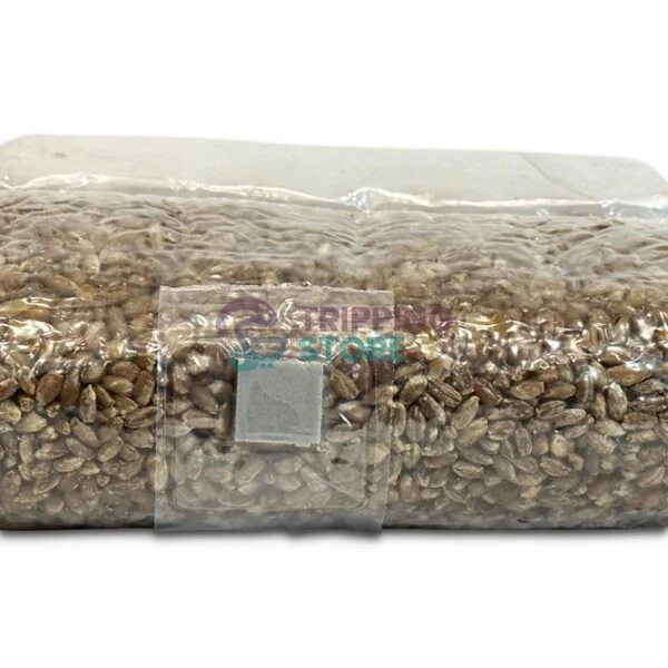 1.5KG Rivalry Grain Elite: Self-healing Rye Grain Bag with Ejection Port - Image 2