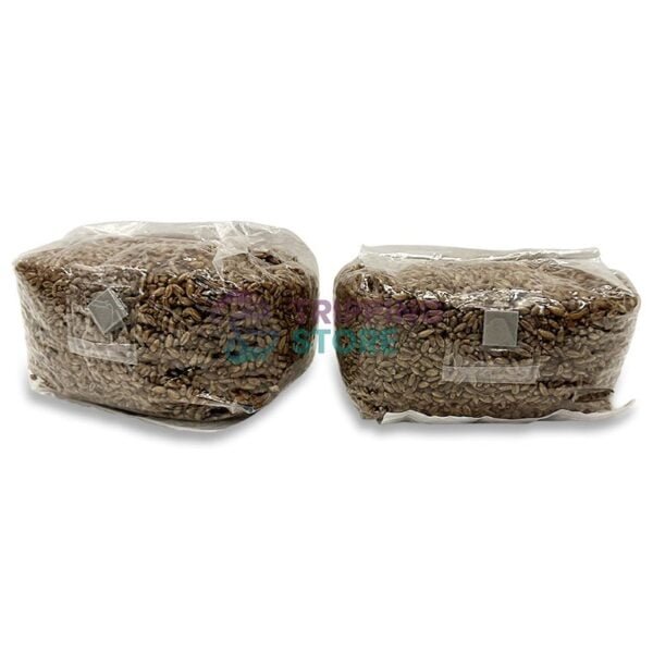 1LB Rivalry Grain : Compact Rye Grain Bag with Ejection Port - Image 6