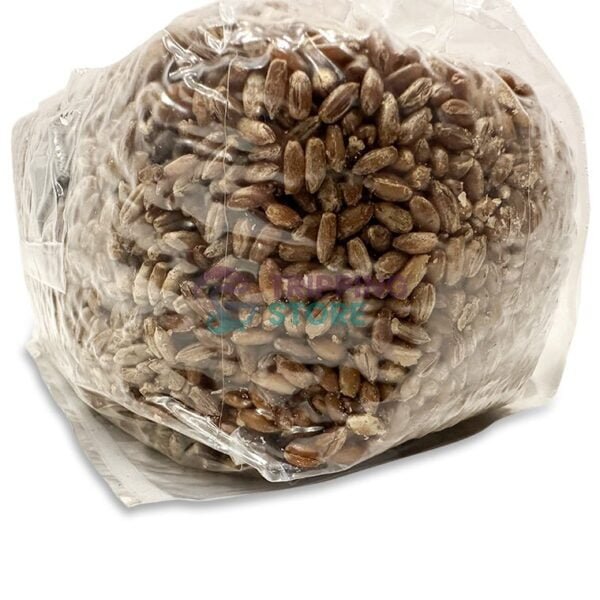 1LB Rivalry Grain : Compact Rye Grain Bag with Ejection Port - Image 8