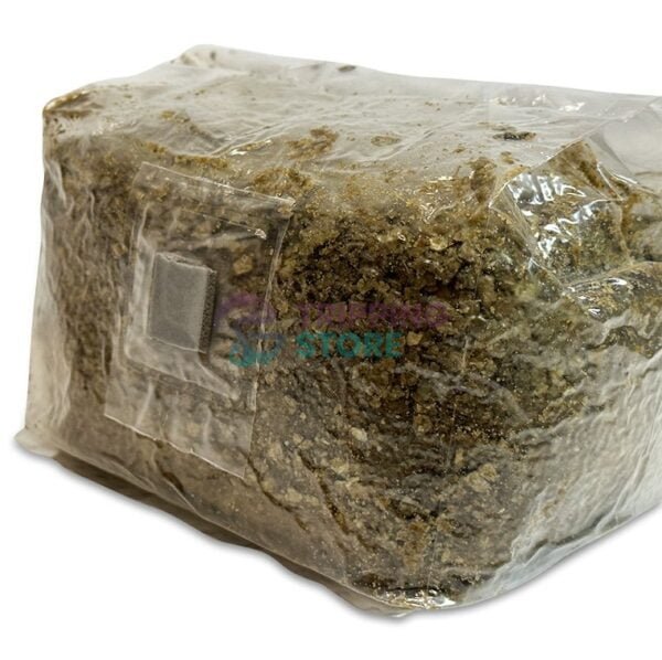 2LB Oxytech Vital Mushroom Grow Bag - Image 4