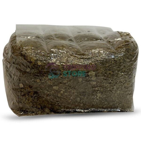 2LB Oxytech Vital Mushroom Grow Bag - Image 5