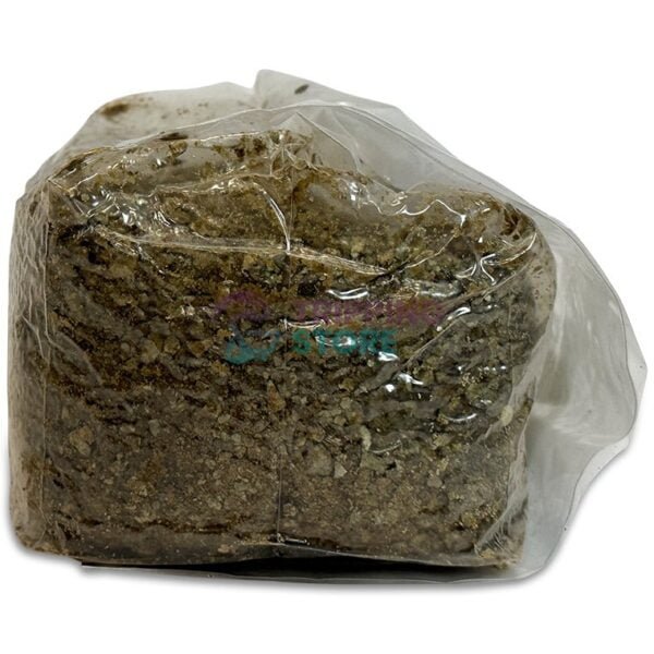 2LB Oxytech Vital Mushroom Grow Bag - Image 6