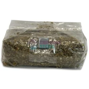 2LB Oxytech Vital Mushroom Grow Bag