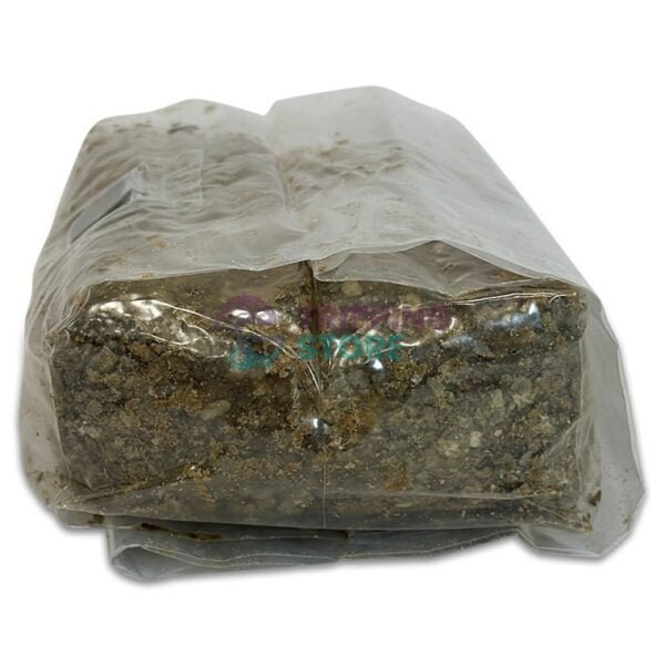 2LB Oxytech Vital Mushroom Grow Bag - Image 7