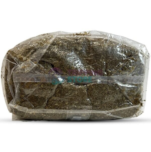 4LB Oxytech Ultimate Mushroom Grow Bag - Image 2