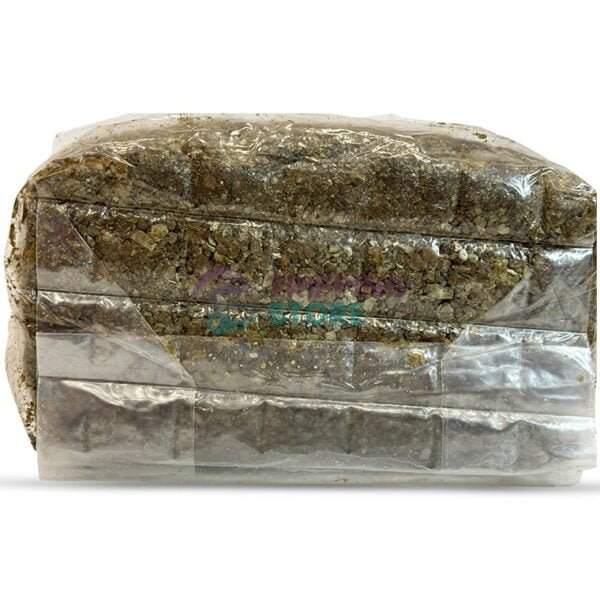 4LB Oxytech Ultimate Mushroom Grow Bag - Image 3