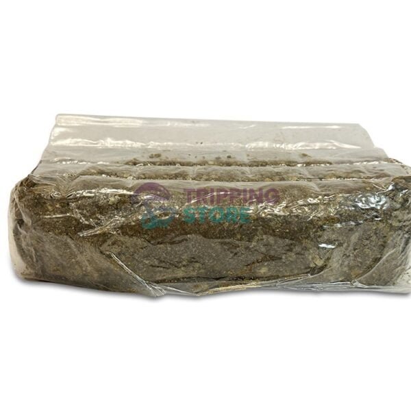 4LB Oxytech Ultimate Mushroom Grow Bag