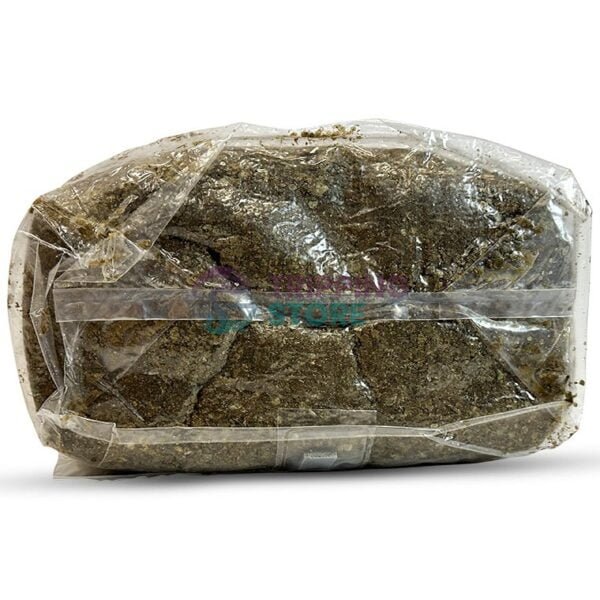 4LB Oxytech Ultimate Mushroom Grow Bag - Image 4