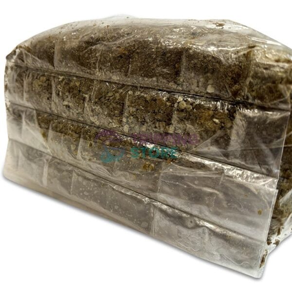 4LB Oxytech Ultimate Mushroom Grow Bag - Image 6