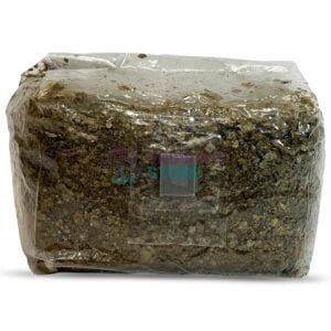 1LB Oxytech essence grow bag