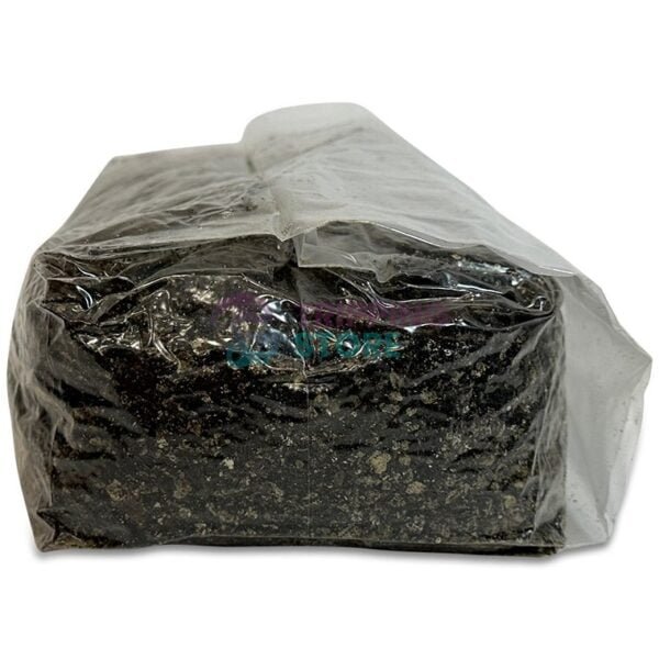 4lb Stallion BRF pro mushroom grow kit - Image 10