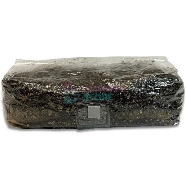 4lb Stallion BRF pro mushroom grow kit - Image 12