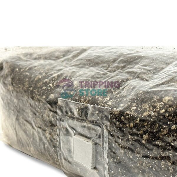 4lb Stallion BRF pro mushroom grow kit - Image 2