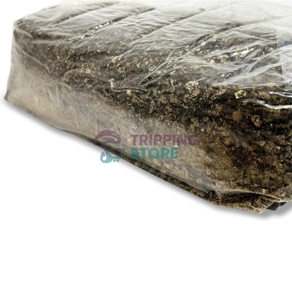 4lb Stallion BRF pro mushroom grow kit - Image 3