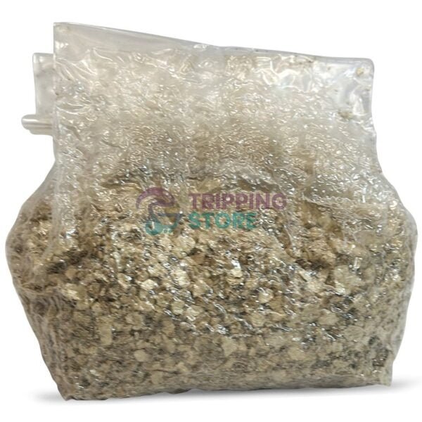 4lb Stallion BRF pro mushroom grow kit - Image 7