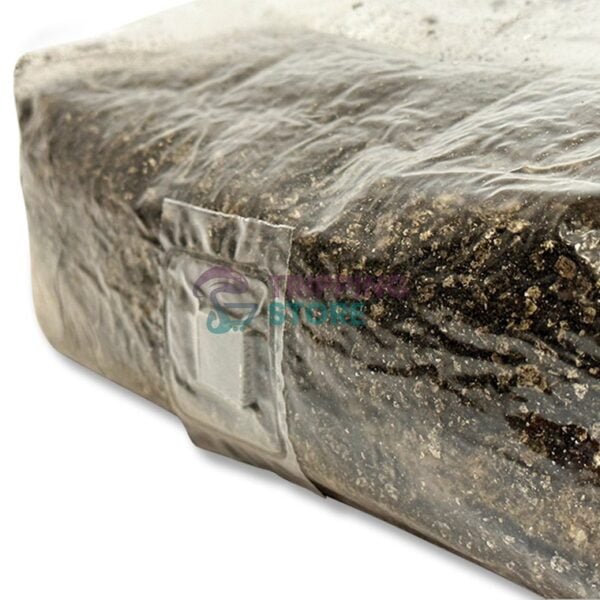 4lb Stallion grain pro mushroom grow kit - Image 7