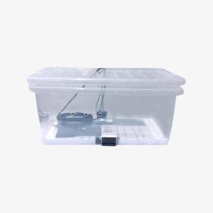 TrippingStore's Magical Grow Buddie - Your Ultimate Mushroom Cultivation Companion!